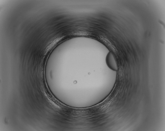 X0000098120533200804040826