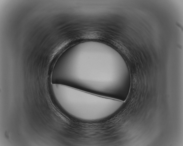 X0000098120535200804040826