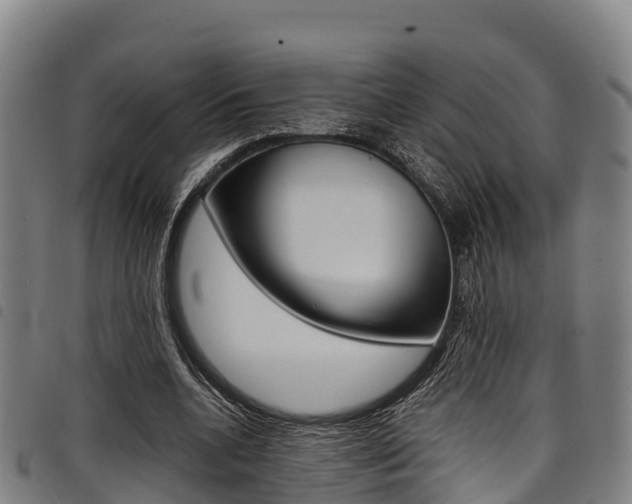 X0000098120536200804040826