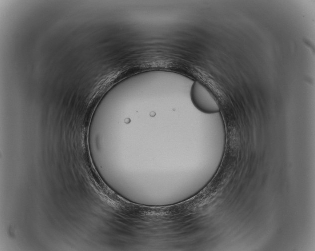 X0000098120537200804040826