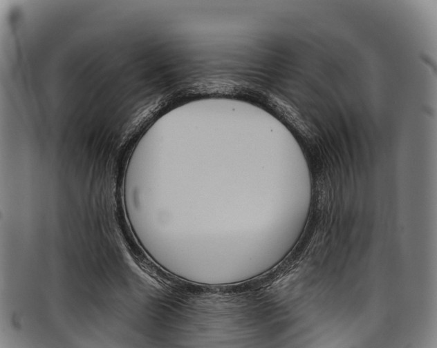 X0000098120538200804040826