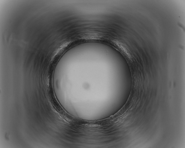 X0000098120539200804040826