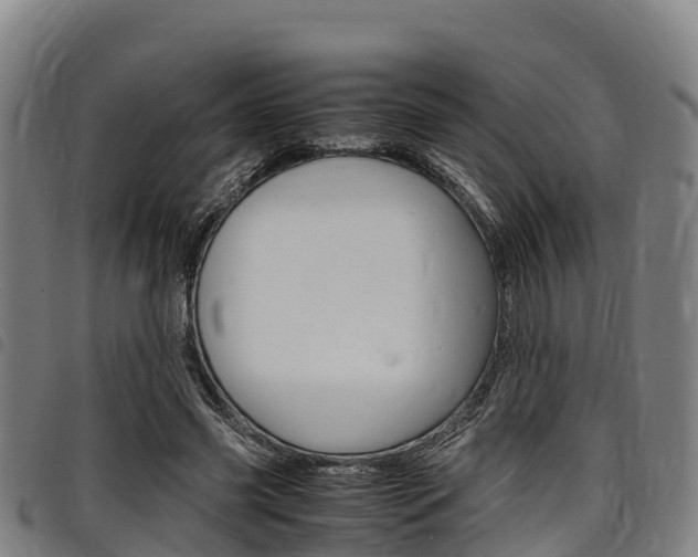 X0000098120541200804040826