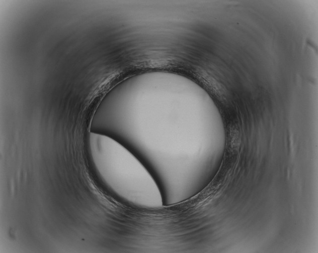 X0000098120542200804040826
