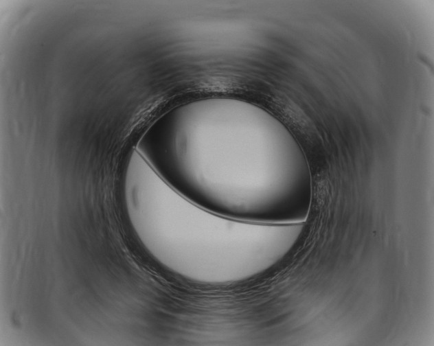 X0000098120544200804040826