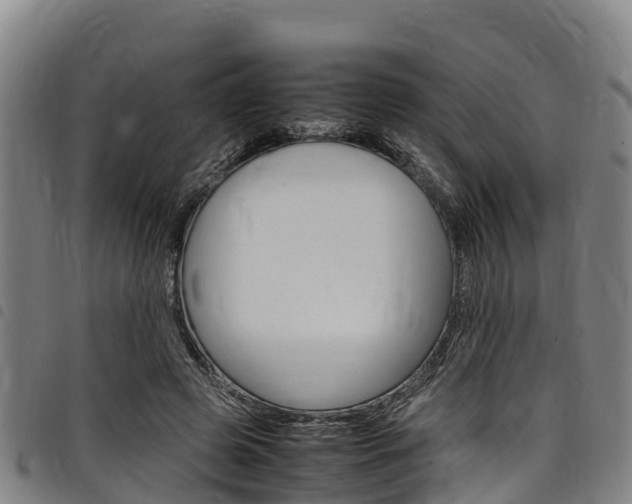 X0000098120545200804040826