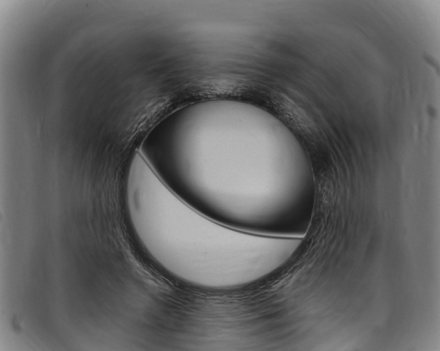 X0000098120546200804040826