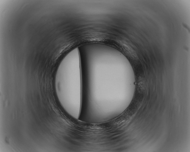 X0000098120547200804040826
