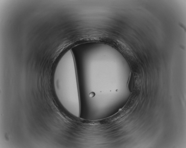 X0000098120548200804040826