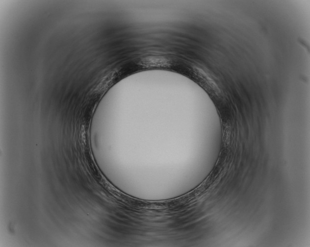 X0000098120549200804040826