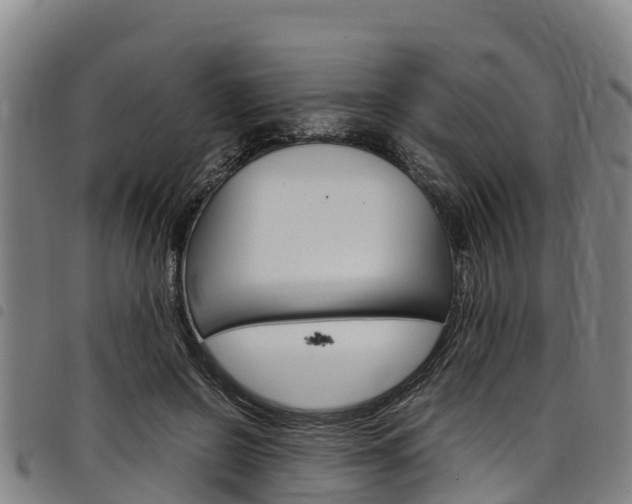 X0000098120550200804040826
