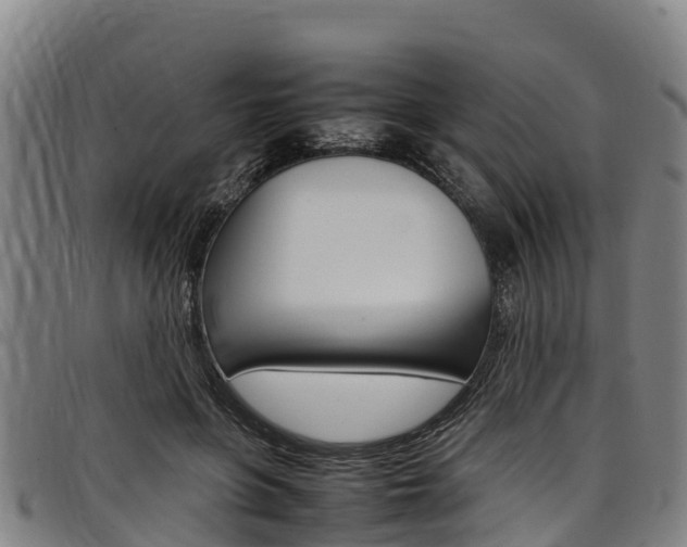 X0000098120551200804040826