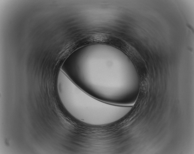 X0000098120552200804040826