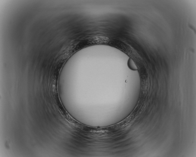 X0000098120553200804040826