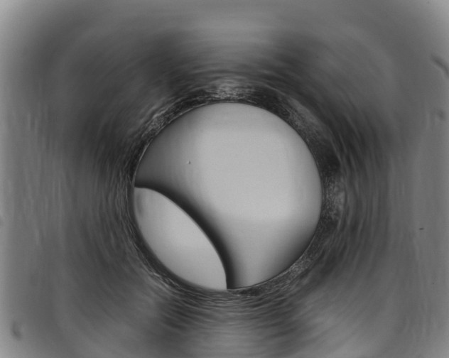 X0000098120554200804040826