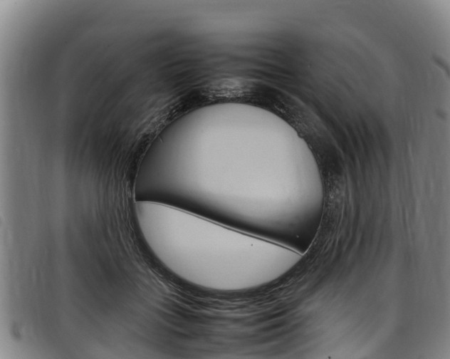 X0000098120555200804040826