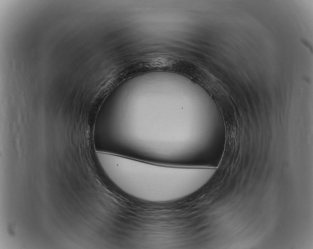X0000098120556200804040826