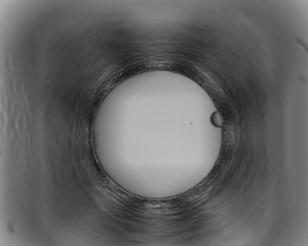 X0000098120557200804040826