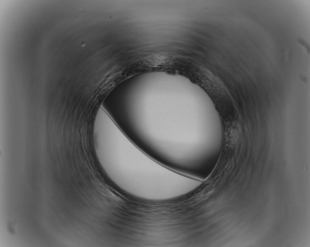 X0000098120558200804040826