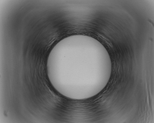 X0000098120560200804040826