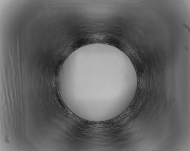 X0000098120561200804040826