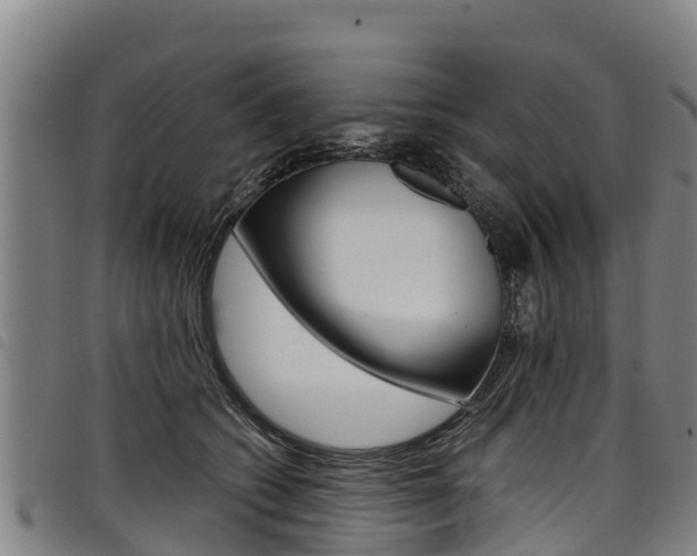 X0000098120562200804040826