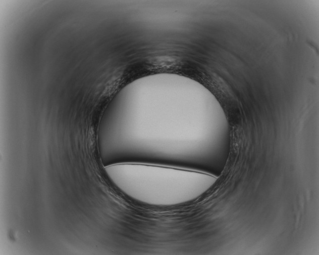 X0000098120563200804040826