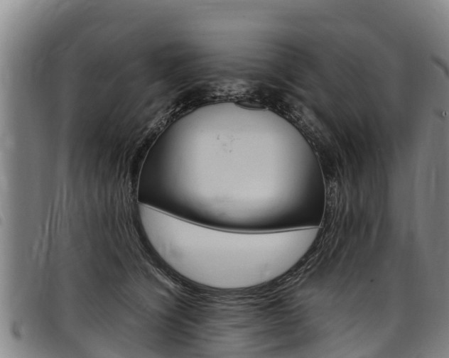 X0000098120564200804040826
