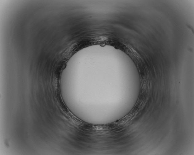 X0000098120565200804040826