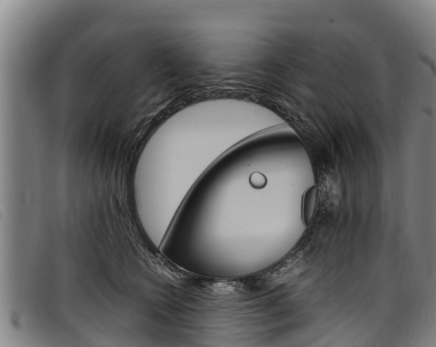 X0000098120566200804040826