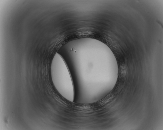 X0000098120567200804040826