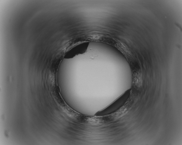 X0000098120568200804040826