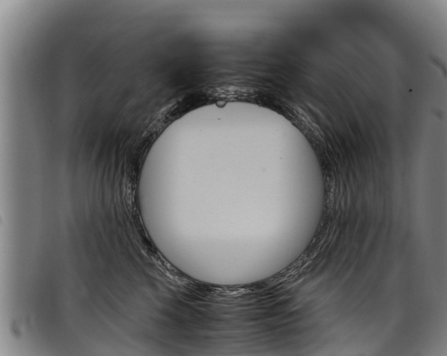 X0000098120569200804040826