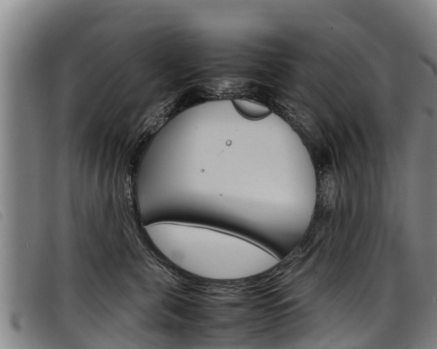 X0000098120571200804040826