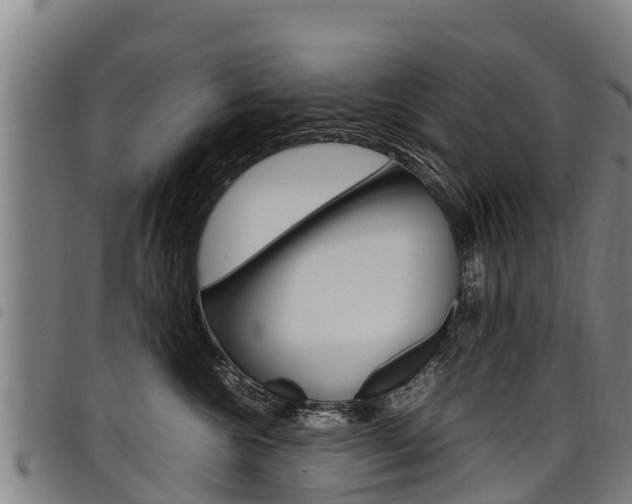 X0000098120572200804040826