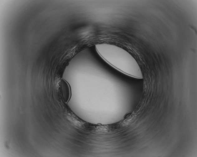 X0000098120574200804040826