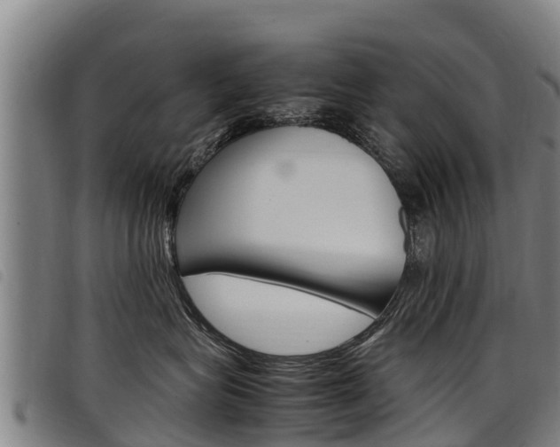 X0000098120575200804040826