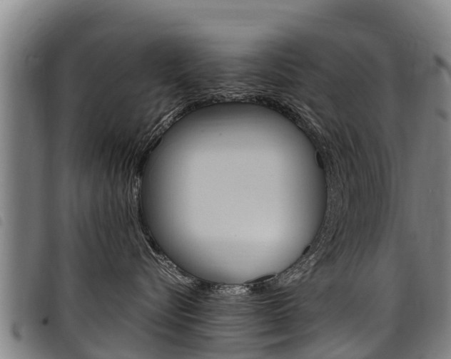 X0000098120576200804040826