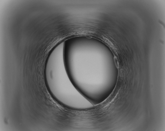 X0000098120577200804040826