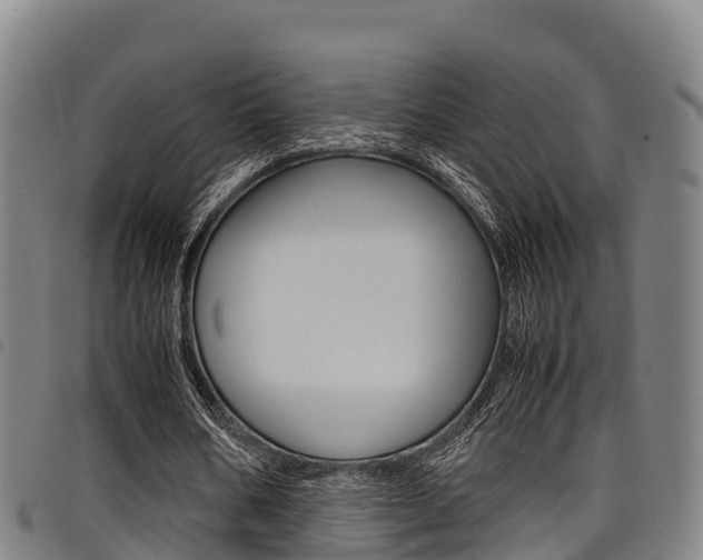 X0000098120578200804040826