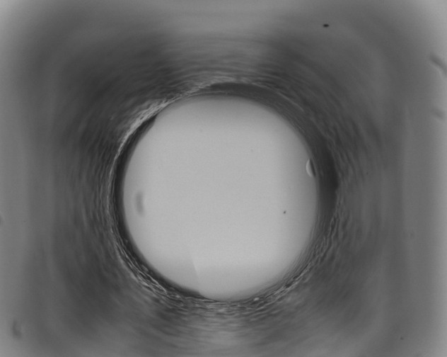 X0000098120579200804040826