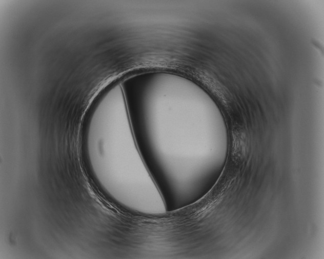 X0000098120580200804040826