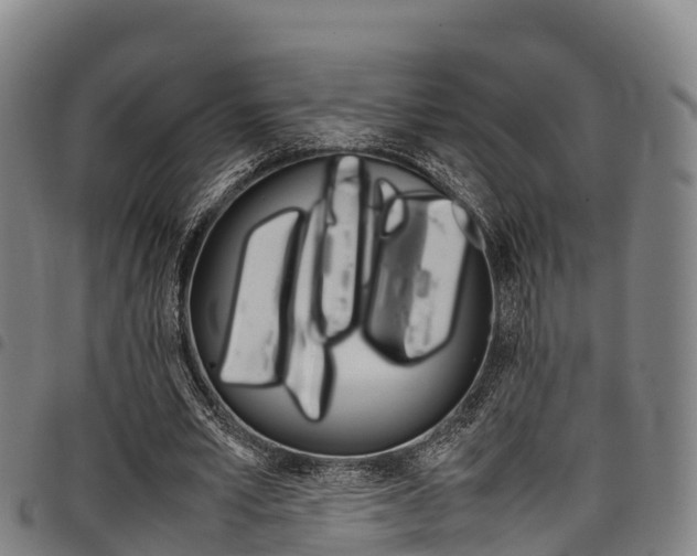 X0000098120581200804040826