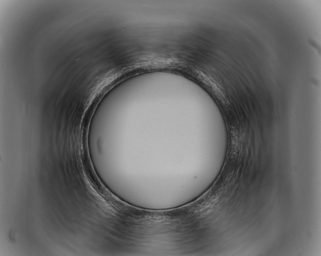 X0000098120582200804040826