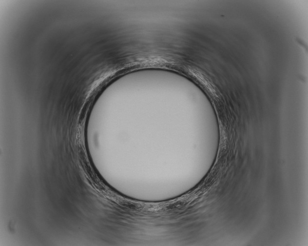 X0000098120583200804040826