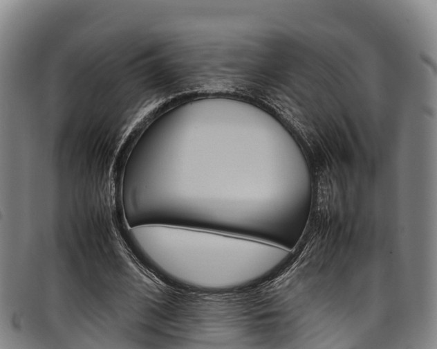 X0000098120584200804040826