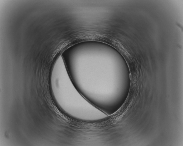 X0000098120585200804040826