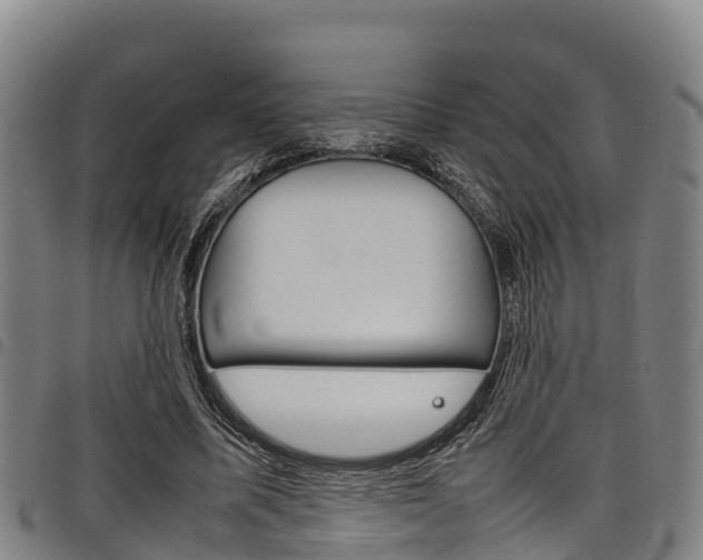 X0000098120587200804040826