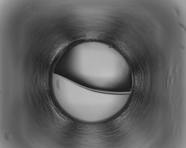 X0000098120588200804040826