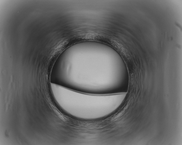 X0000098120589200804040826